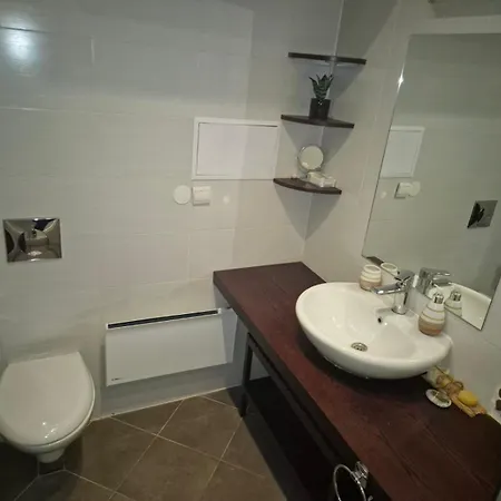 макси Apartment *